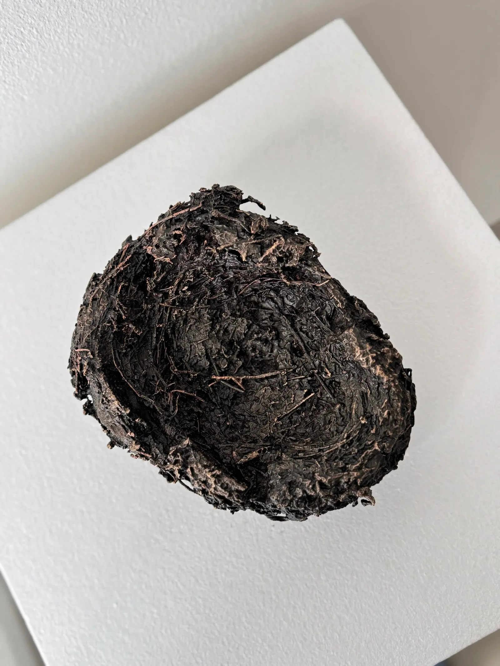 Tina Maria Nielsen: Birds leave their nest, 2019
