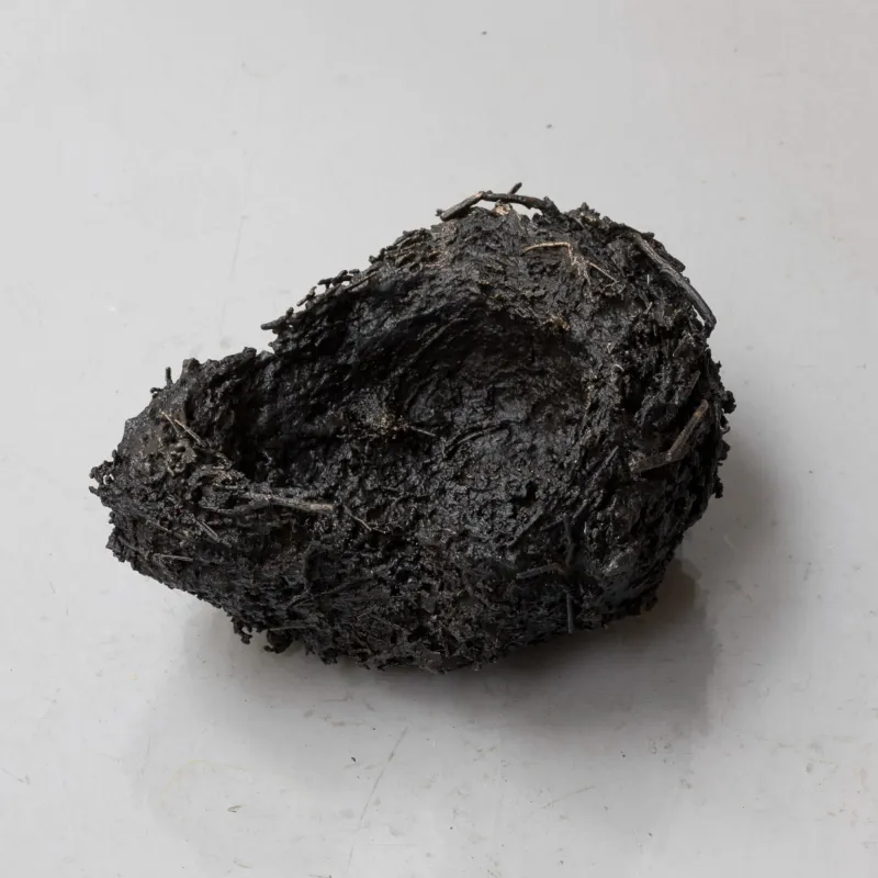 Tina Maria Nielsen: Birds leave their nest, 2019