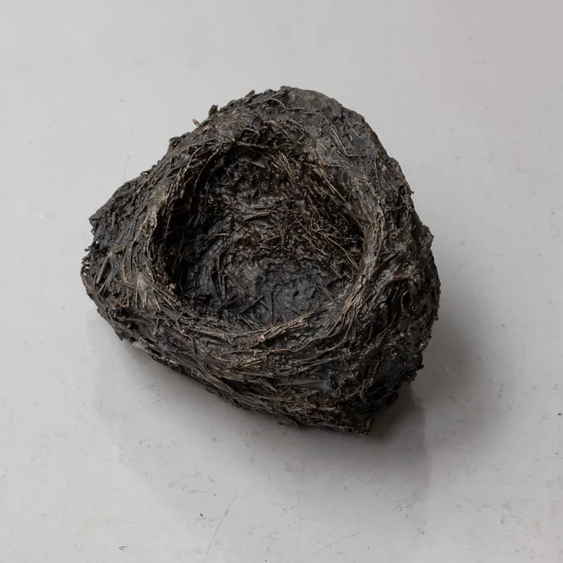 Tina Maria Nielsen: Birds leave their nest, 2019