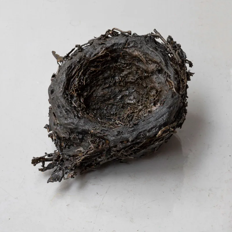 Tina Maria Nielsen: Birds leave their nest, 2019